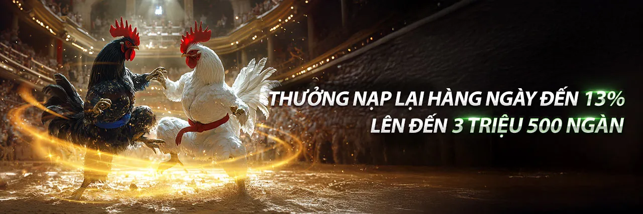Sân vận động bóng đá với khán giả hò reo, nhấn mạnh cá cược thể thao tại tải oke888
