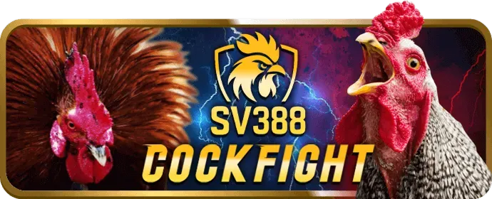 Chương trình hoàn trả tiền cược tại OKE888